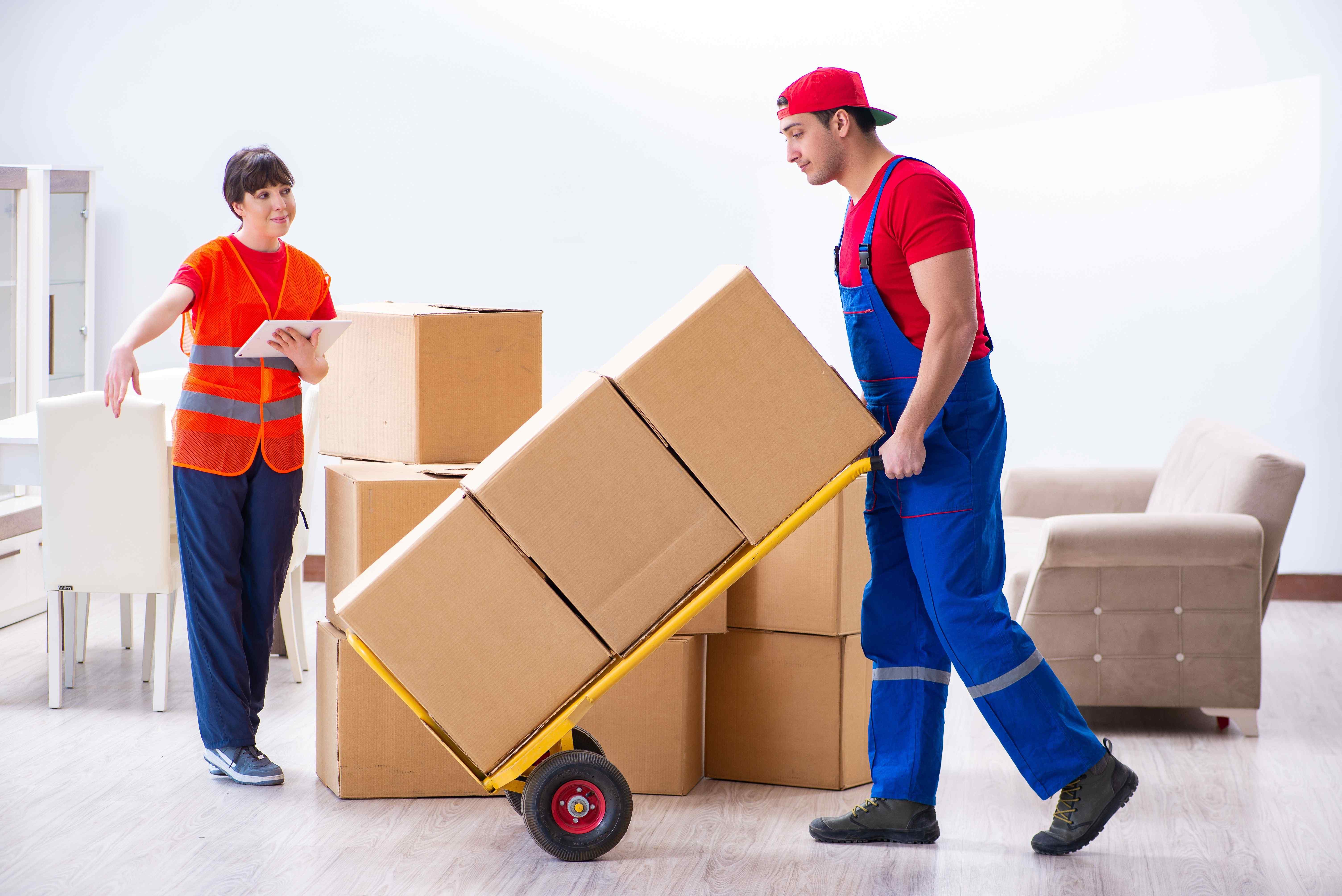 Packers & Movers Team